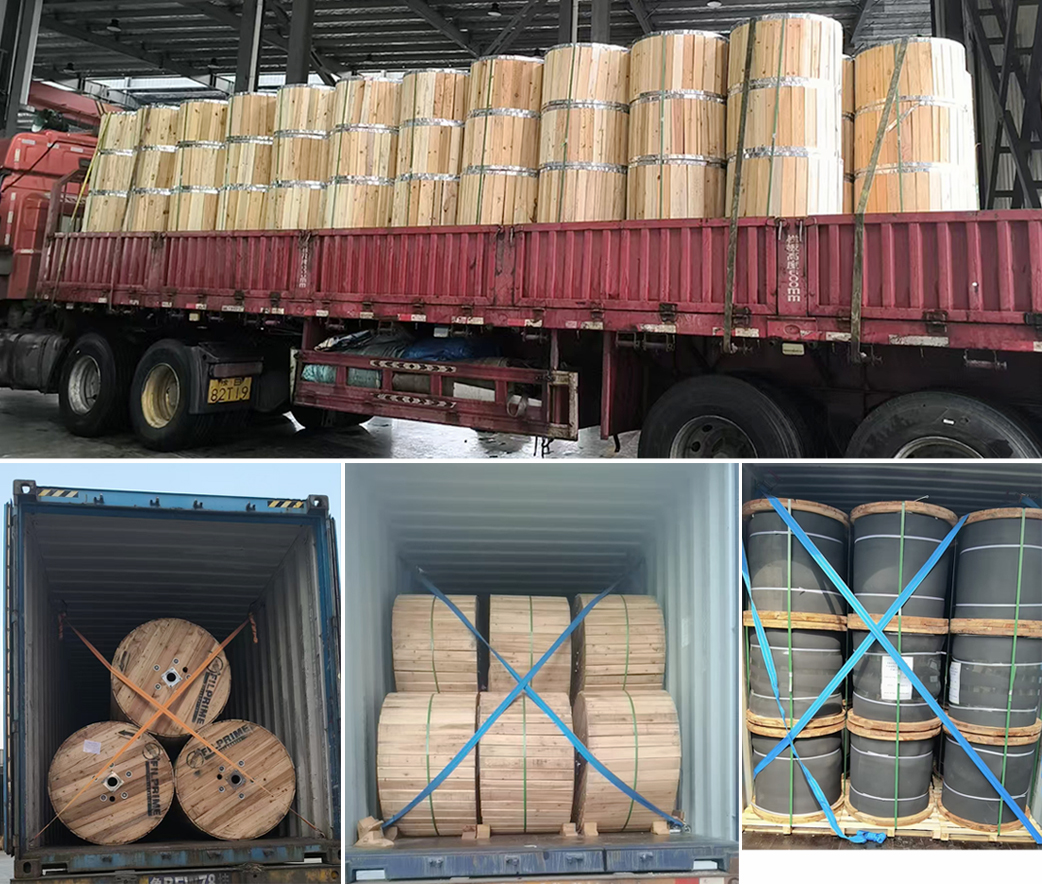 Zhengzhou SiTong Cable's International Shipments Surge, Reinforcing Global Market Position