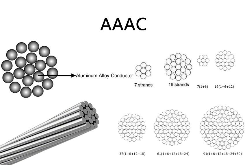 aaac mulbery conductor