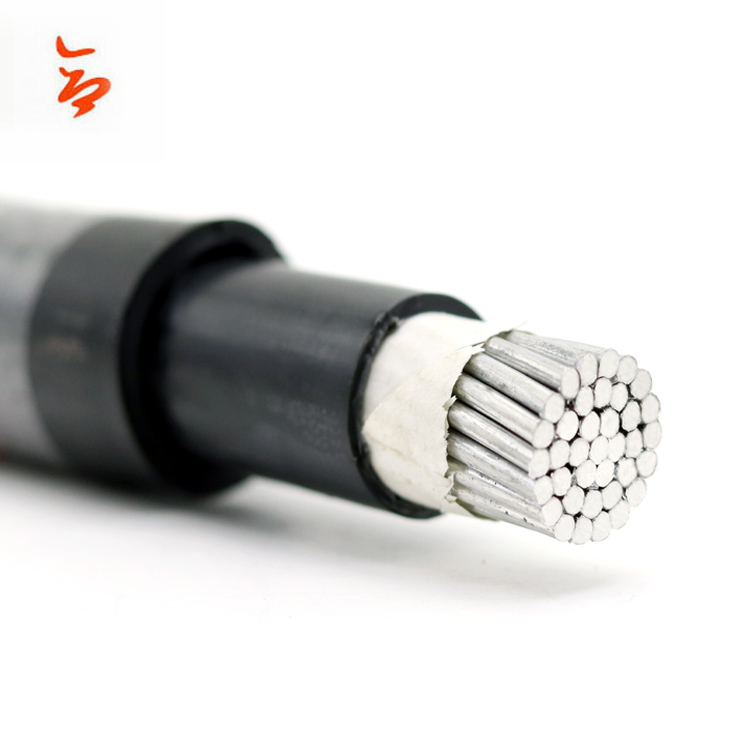 Cat5e Network Cable
