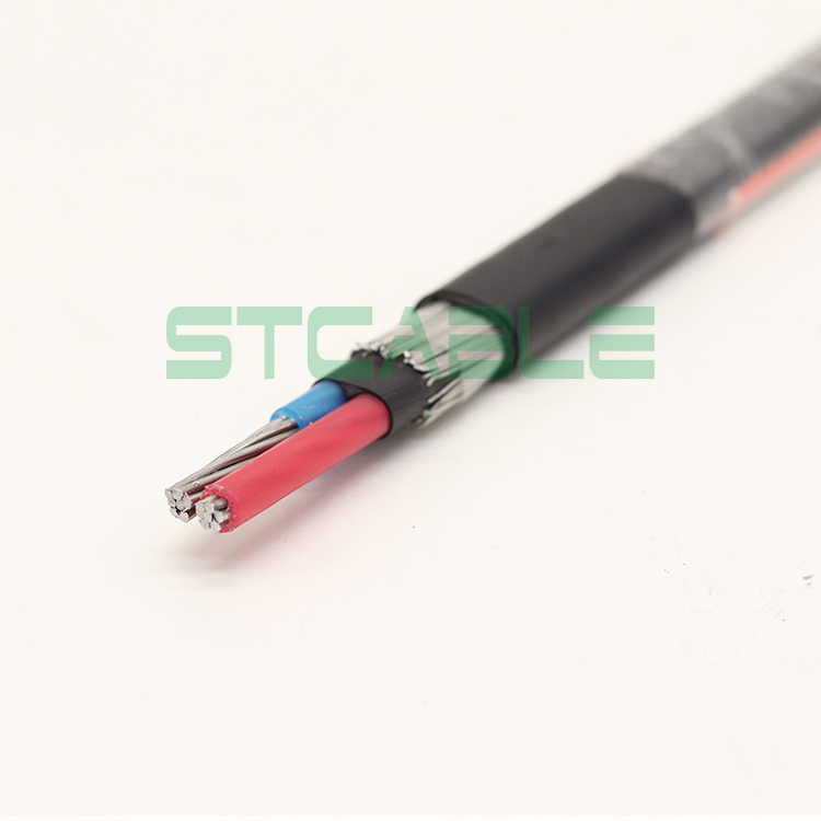 2 Core Flat Aluminum Concentric Cable