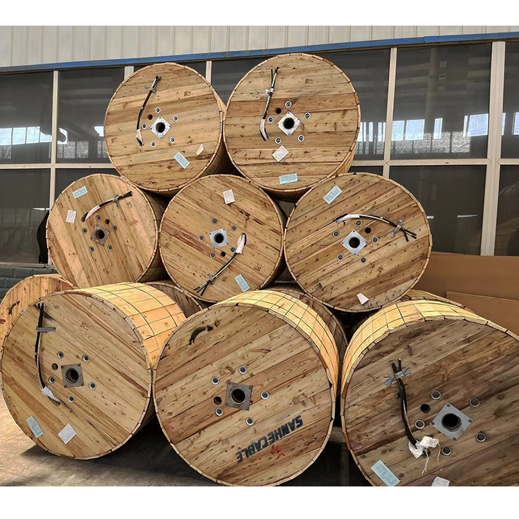 12/20KV XLPE /PE Insulated copper conductor N2XSY Cable Power Cable for Power Stations