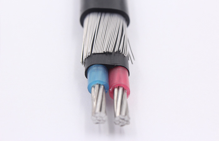 8000 series Aluminum Alloy Concentric Cable 2x4+4AWG